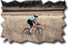 Horseback Riding Tours