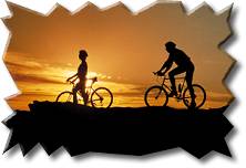 Horseback Riding Tours